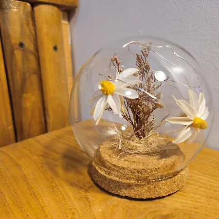 Apartment Sea Paradise *